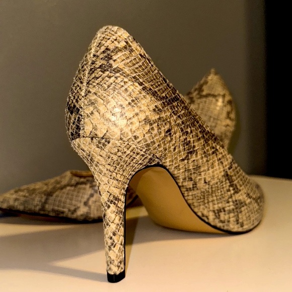 🐍 print 👠 - Picture 2 of 6